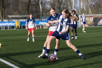 Bild 359 - wBJ Hamburger SV - Hertha BSC : Ergebnis: 2:1